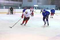 Хоккейный турнир 2012 года на Кубок СК «Ледовая арена»