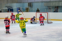 Турнир по мини-хоккею с мячом