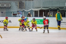 Турнир по мини-хоккею с мячом