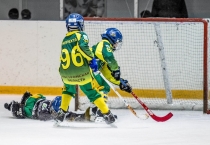 Турнир по мини-хоккею с мячом