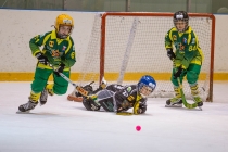 Турнир по мини-хоккею с мячом