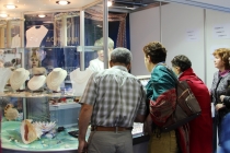 «Золотое кольцо России-2014»