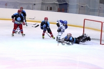 Турнир «Золотая шайба» - март 2012 г.