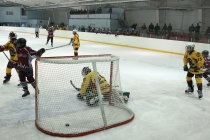 Турнир «Золотая шайба» - март 2012 г.